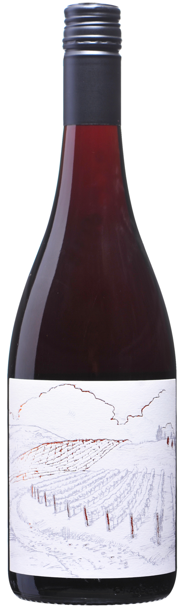 2019 Vineyard Ferment Pinot Noir Greystone
