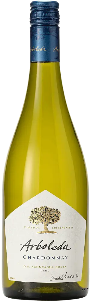 2021 Arboleda Chardonnay Aconcagua Costa
