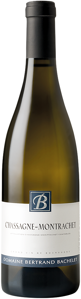 2020 Domaine Bertrand Bachelet Chassagne-Montrachet