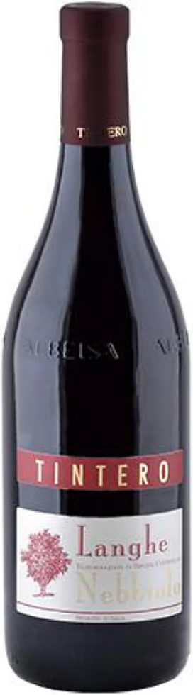 2023 Elvio Tintero Langhe Nebbiolo