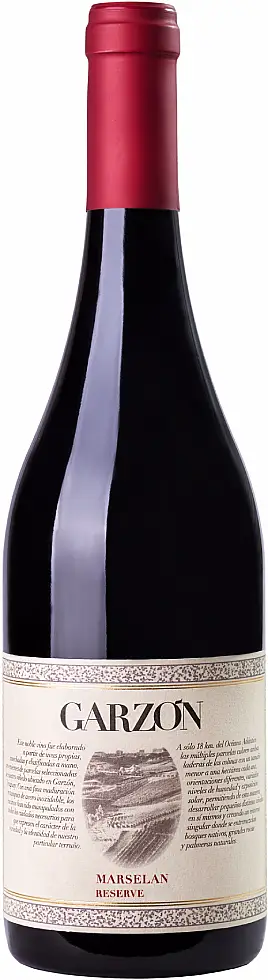 2023 Bodega Garzón Reserva Marselan